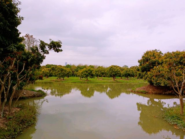 Haokun Wet Land Reserve: Ecological Treasure and Nature Beauty Museum
