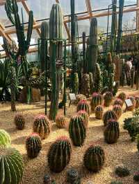 太原植物園｜週末好去處