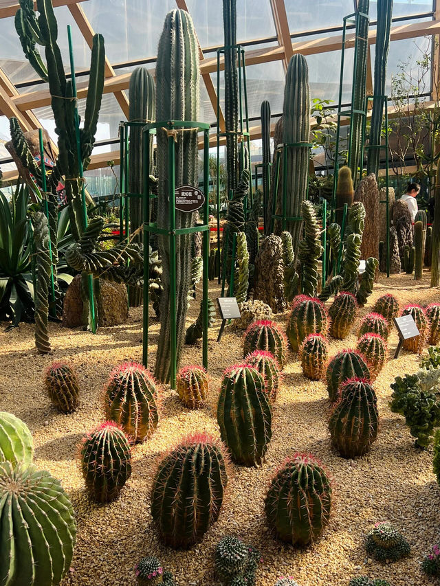 太原植物園｜週末好去處