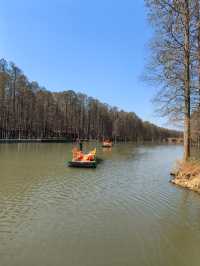 江蘇旅行 | 李中水上森林公園旅遊攻略