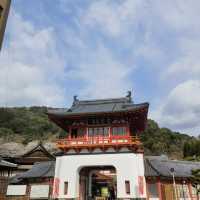 武雄圖書館：藏在寧靜鄉村的春日浪漫