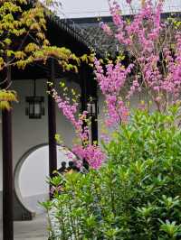 蘇州一日遊已回！一日速刷指南請收好