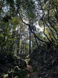 # 漫步陽明山，邂逅自然靈韻