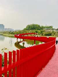 深圳最美的虹橋公園！！