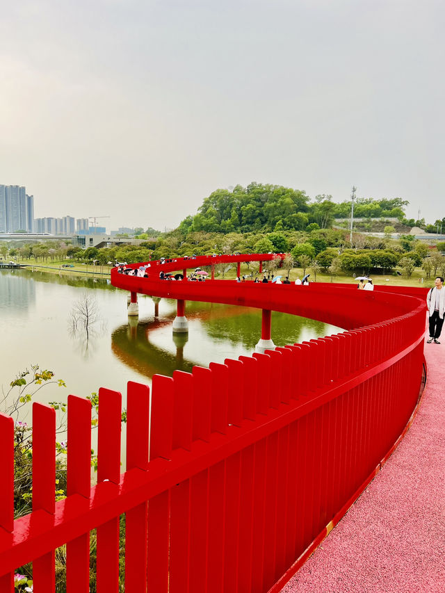 深圳最美的虹橋公園！！