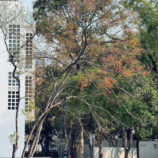 中山必探！公園裡藏著的自習寶藏地
