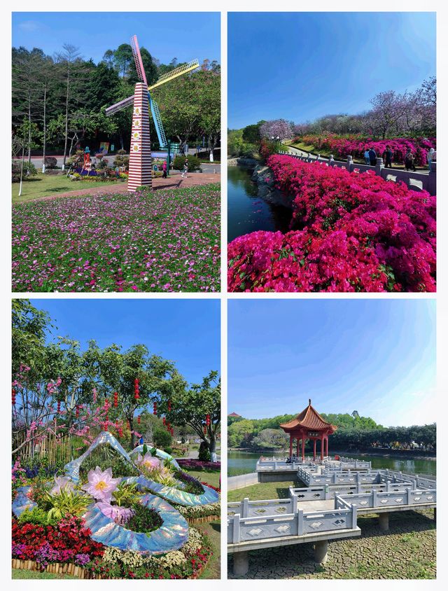 避開人潮賞花海！番禺小眾秘境全攻略