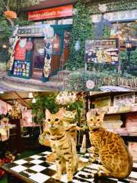 日本旅行｜湯布院花卉小鎮｜歡迎來到魔法世界