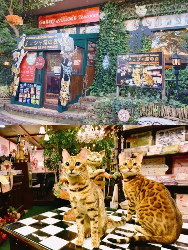 日本旅行｜湯布院花卉小鎮｜歡迎來到魔法世界