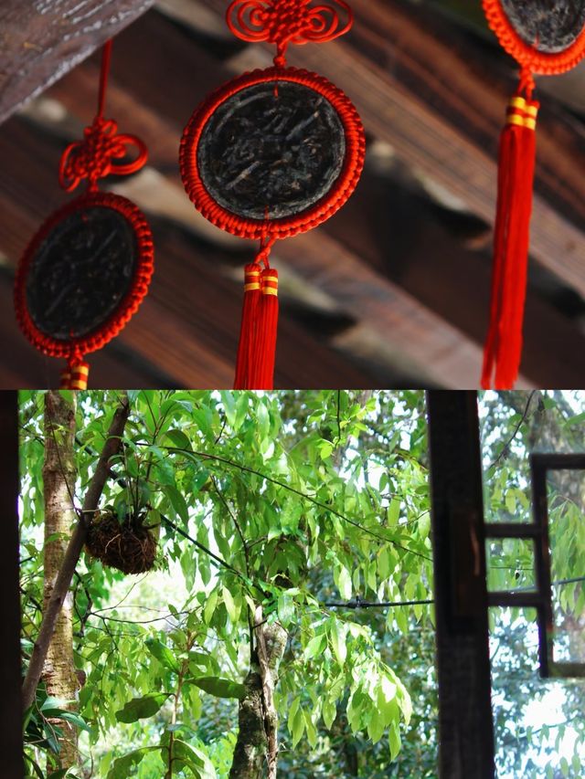 穿越千年的茶馬古道，探尋雲南的神秘之旅