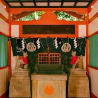 探索根津神社——東京的隱世瑰寶