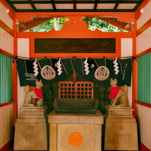 探索根津神社——東京的隱世瑰寶
