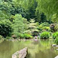 深圳仙湖植物園，陷入大自然的Love