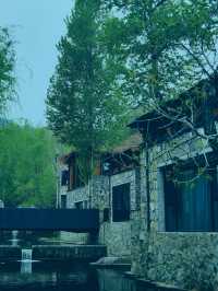 春雨洗禮，隱北•達摩民宿的綠野仙蹤