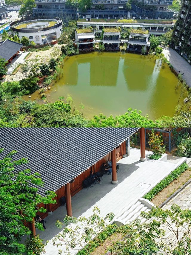 讓自然回到城市，重構旅居的另一種可能