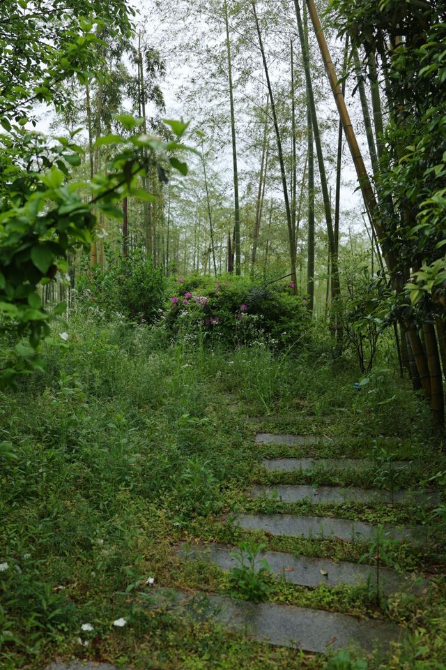 湖州甘舍|山水間的團建絕佳之地