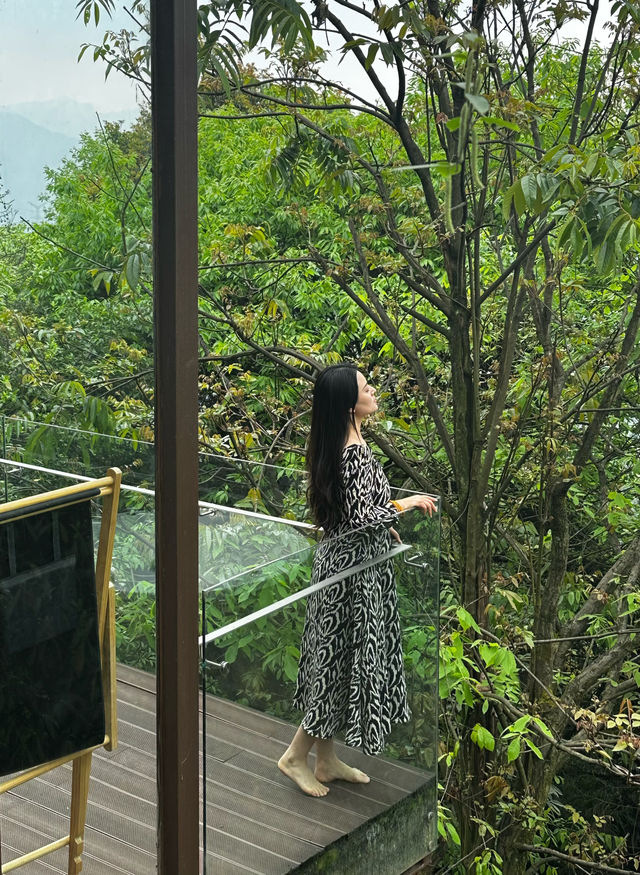 峨眉七里坪住童話森林樹屋偶遇大山精靈梅花鹿