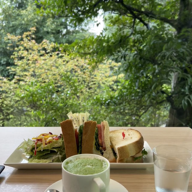 🌧️雨天限定的根津美術館｜在綠意與歷史間尋得寧靜