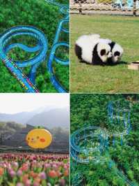 P人碼住！五一安吉深度遊玩全指南