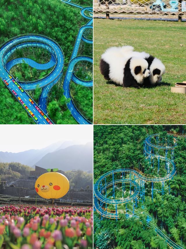 P人碼住！五一安吉深度遊玩全指南