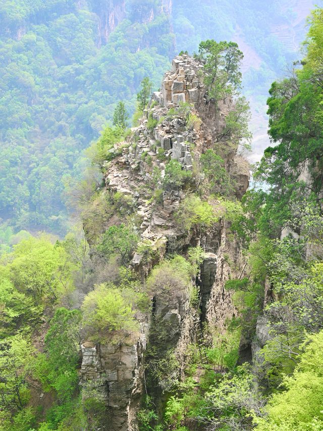 這座"平躺級"神仙山懶人友好100%！