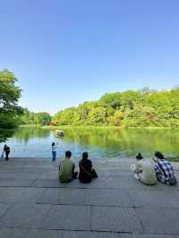 去杭州旅遊，推薦條西湖徒步路線