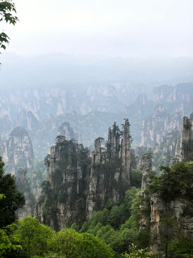 人生建議：帶娃去張家界，一定要去大峽谷