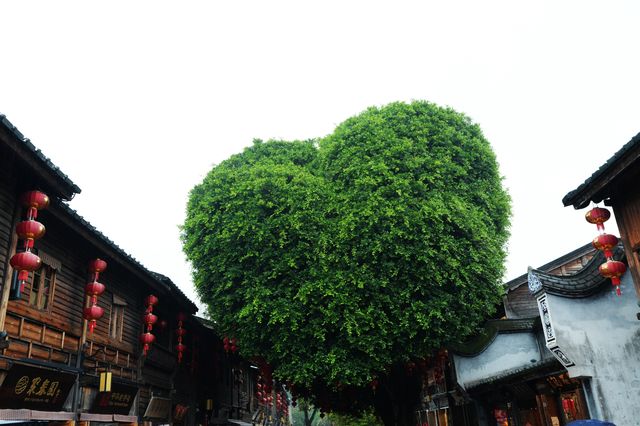 清明建築博物館–三坊七巷