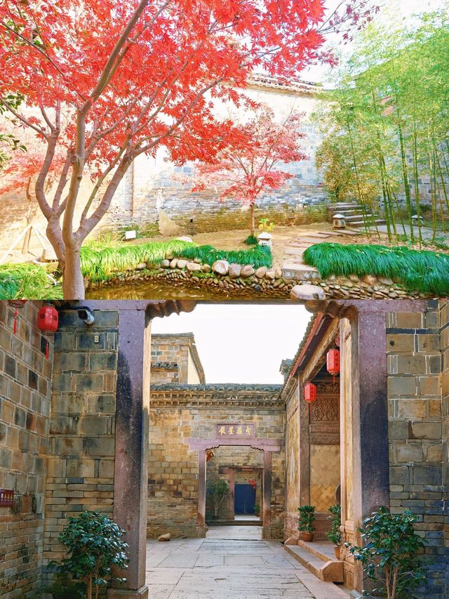 去福建泰寧，呢份攻略可以碼住啦