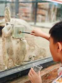 安吉嘉樂比萌寵樂園：超萌超可愛嘅毛茸茸小動物