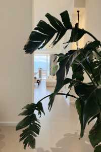專程飛來大理，住進睡到自然醒的雙廊奶油ins風民宿