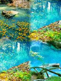 - 原始林海，天然氧吧，大口森林公園邀您回歸本真