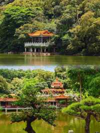 如果你嚟深圳，我一定會帶你去仙湖植物園！