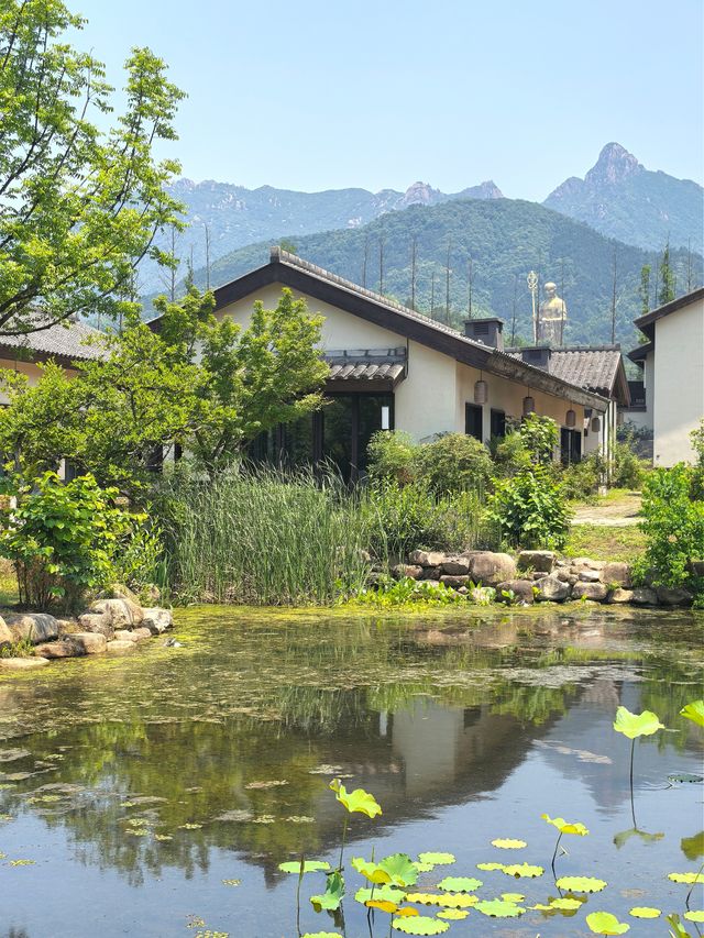 菩薩腳下清淨地·我在九華山開啟禮佛慢生活