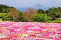 福岡能古島：四季花海×絕景離島秘境