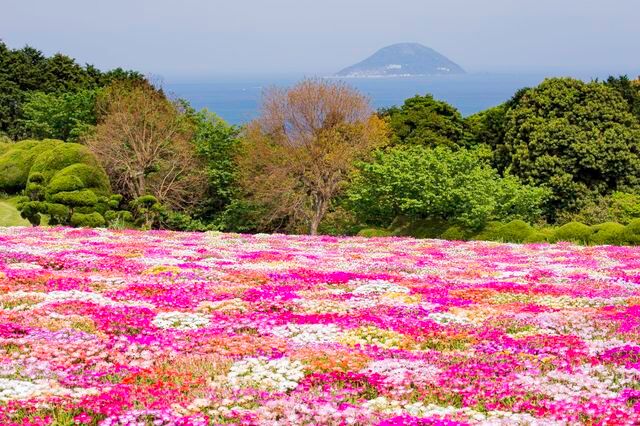 福岡能古島：四季花海×絕景離島秘境