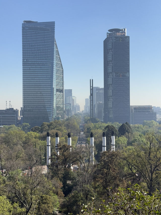 Tacos, Castles, and Culture: My Mexico City Highlights 🌮 🇲🇽 