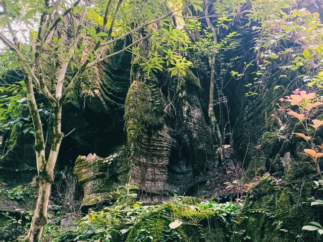 The Enchanting Red Stone Forest in Hunan