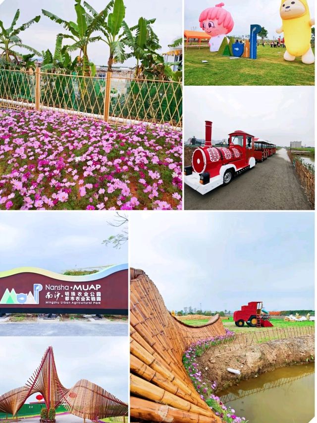 Nansha Pearl Agricultural park in guangzhou view of Sydney bridge 🇨🇳