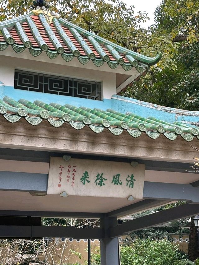 從香港奔赴澳門威尼斯人！超詳細交通攻略與打卡指南｜Trip.com 澳門