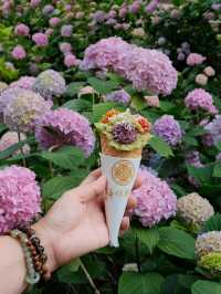 🌸孝泉延祚寺｜邂逅繡球花海與靈鹿的浪漫傳奇🌸