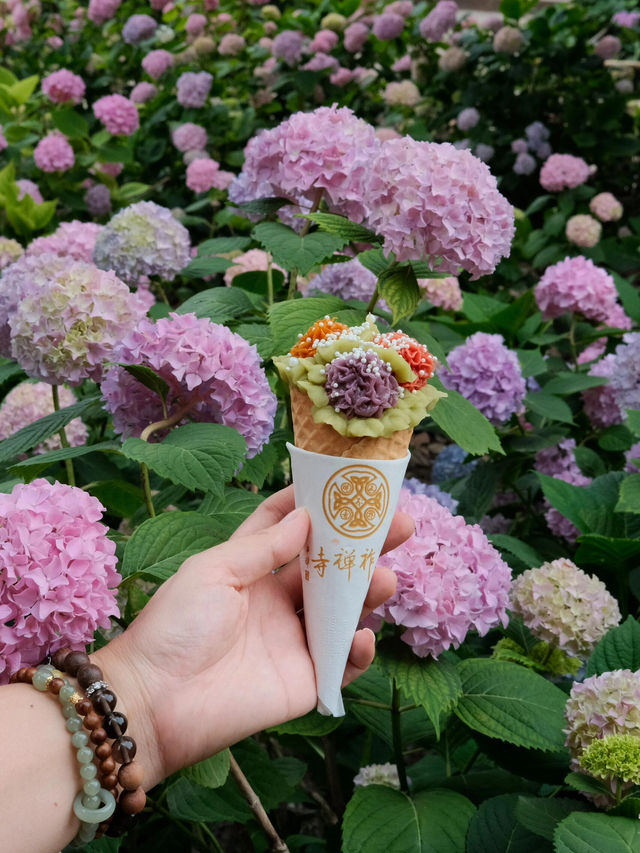 🌸孝泉延祚寺｜邂逅繡球花海與靈鹿的浪漫傳奇🌸