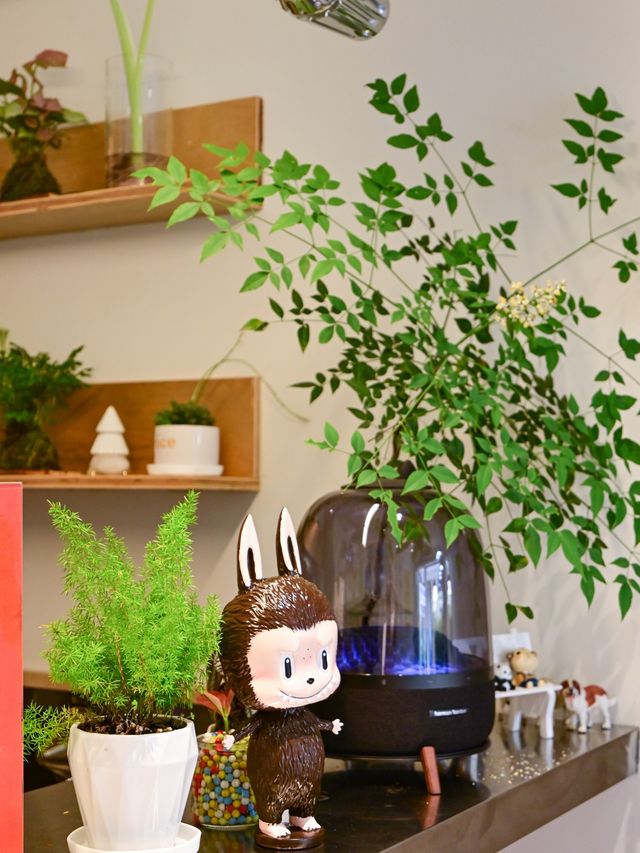 怡途福利·喺千島湖，呢間咖啡店全場8折