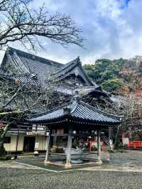 靈光映市的和風信物