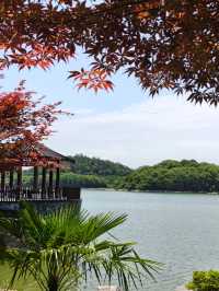 喺溧陽，帶小朋友住靚酒店