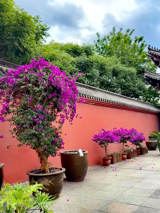 沈陽彌陀寺 | 心靈棲息的千年古剎攻略