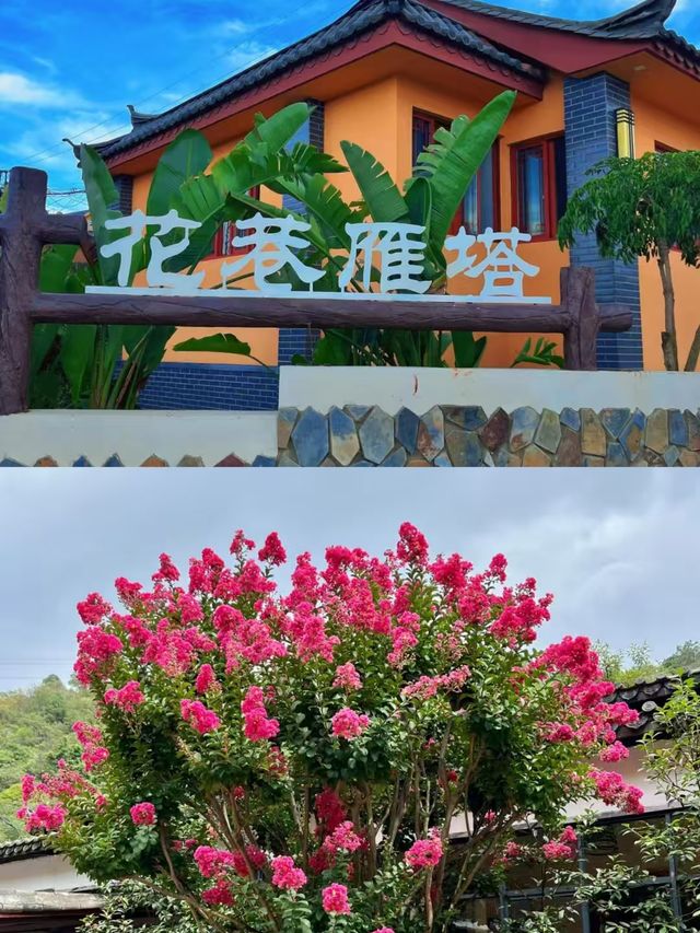 安寧已回，講啲大實話。