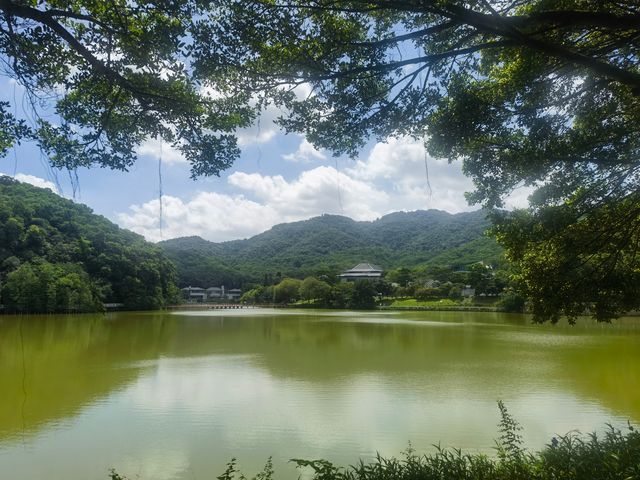 隱藏於白雲山麓嘅翡翠秘境
