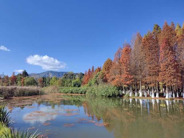各位寶貝們好呀，今日為大家帶來一份滇池嘅旅遊攻略，等大家可以少走冤枉路~   滇池最佳遊玩時間   11月-3