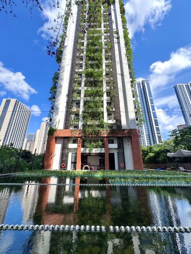 深圳必打卡～呢度竟然隱藏住一個生態泳池